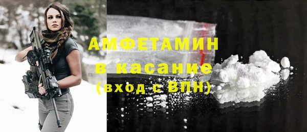 винт Инсар