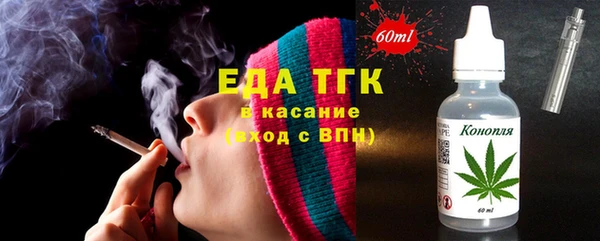 хмурый Инта