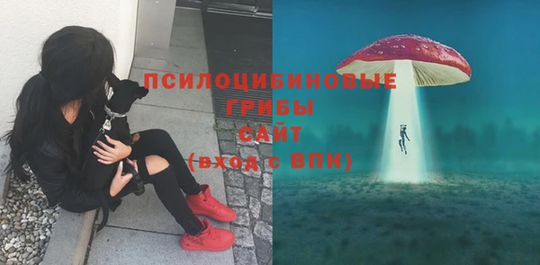 хмурый Инта