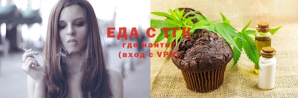 хмурый Инта