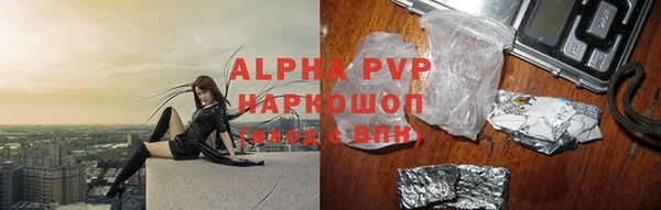хмурый Инта