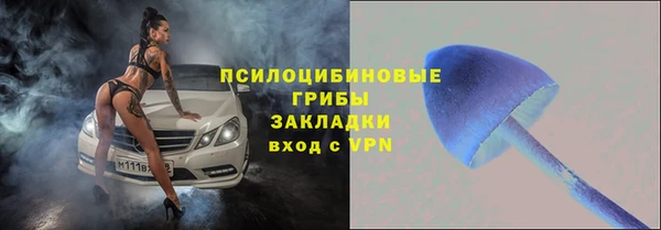 хмурый Инта