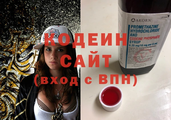 хмурый Инта