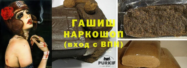 хмурый Инта