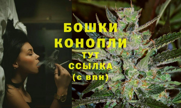 хмурый Инта