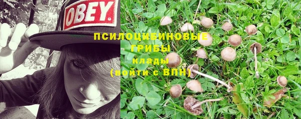 винт Инсар