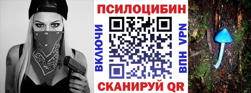 Купить  Бирюч  Псилоцибиновые грибы Magic Shrooms 